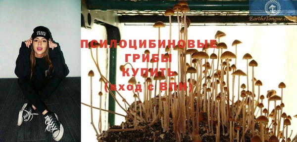 дмт Балахна