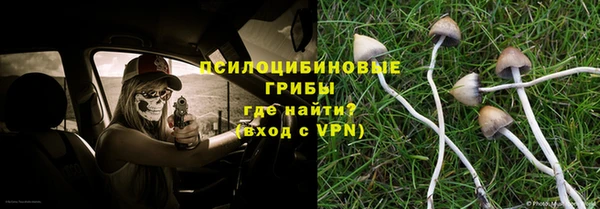дмт Балахна
