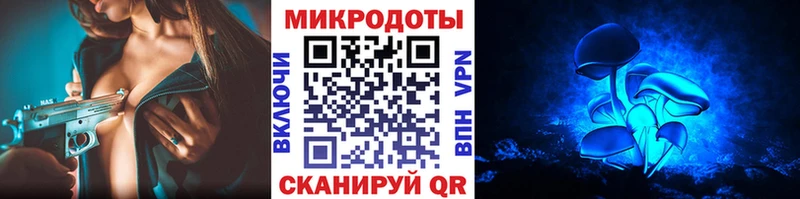Галлюциногенные грибы Psilocybe  Окуловка 